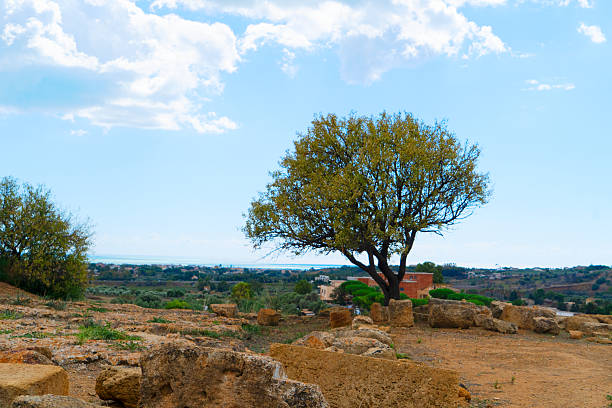 Agrigento valley with ancient greek ruins, Sicily island, Italy
