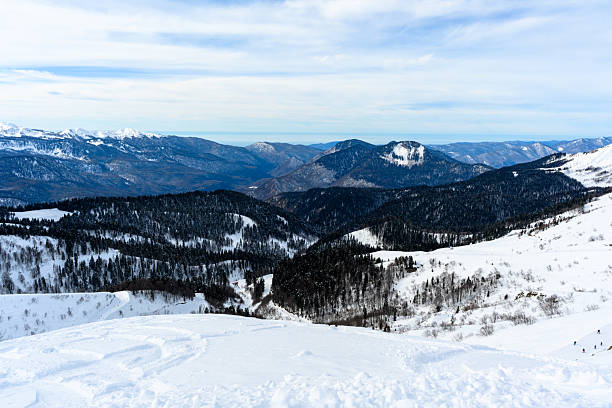istock A beautiful snowy mountain range with tall trees in the foreground 2246389531