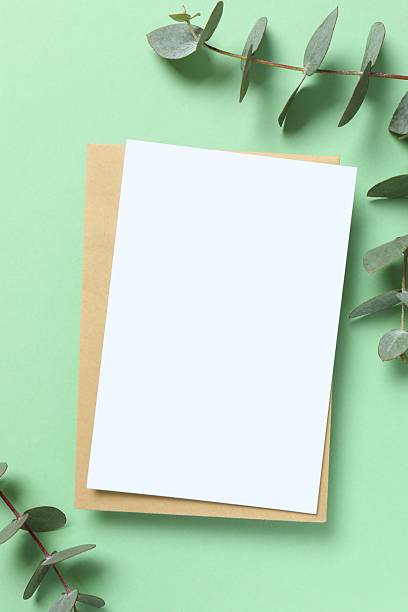 istock Postcard with eucalyptus on green background 2246393126