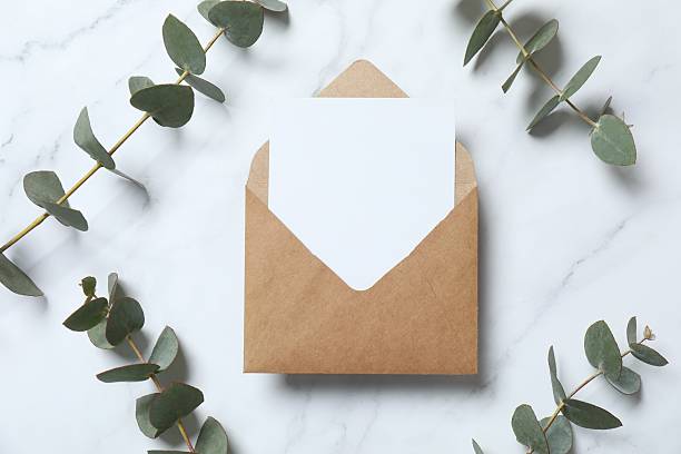 istock Natural green eucalyptus branches with paper envelope on empty light background with copy space. Trendy layout with fresh plant. Eco spring concept. 2246393214