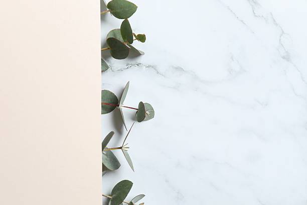 istock Invitation mockup, blank greeting card, and green eucalyptus leaves. Flat lay, top view. 2246393231