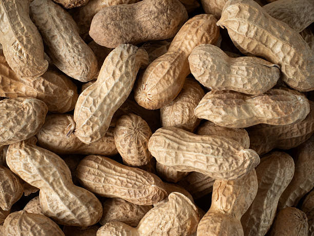 istock Dry raw peanuts in shells, organic food background 2246396815