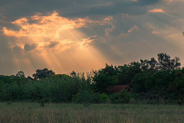Dramatic sunbeams stream through gaps in the clouds at sunset, illuminating a rural landscape with tall grass, dense trees, and a small structure partially hidden in the foliage. The warm, golden light contrasts with the darker sky, creating a serene and atmospheric nature scene that evokes tranquility and the beauty of untouched countryside.