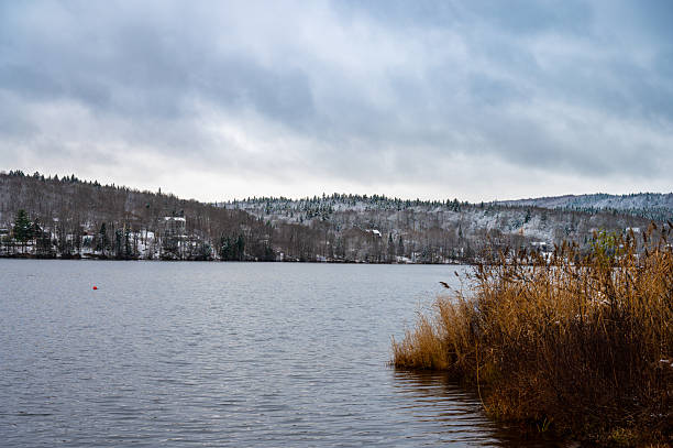 Lake with mountains in winter with high herbs in foreground