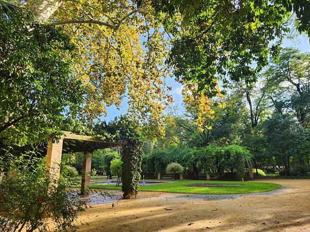 istock Garden in Parque Maria Luisa 2246404932