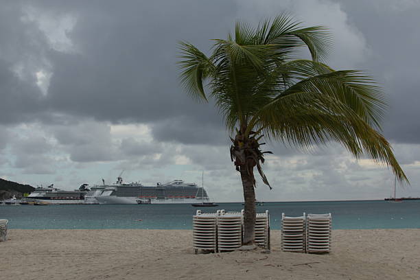 Philipsburg, Sint Maarten – November 22, 2013: A single palm tree stands on a sandy beach with lounge chairs in front of the Caribbean Sea under cloudy skies.