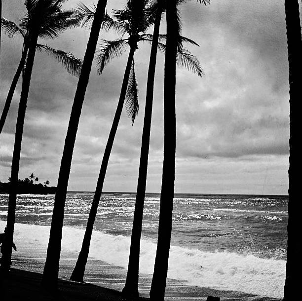 istock Hawaii in Black and White 2246409110
