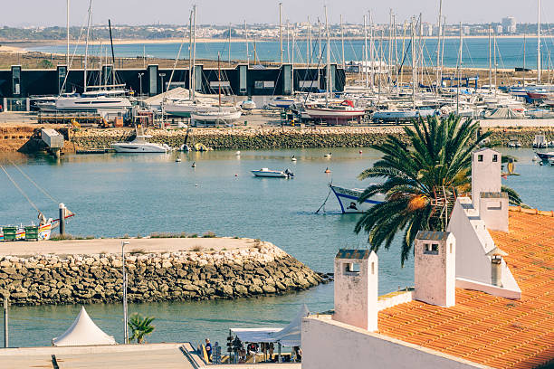 Lagos, Portugal, November 8, 2025. Boats float in a tranquil marina framed by a palm tree and red-roofed buildings on the waterfront.