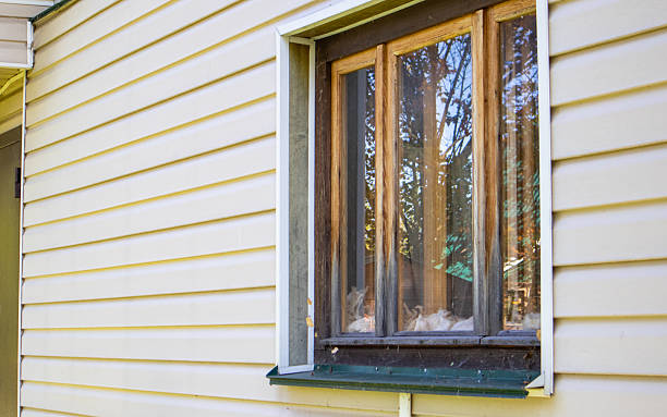 istock Wooden frame window on vinyl siding facade with tree reflections 2246413257