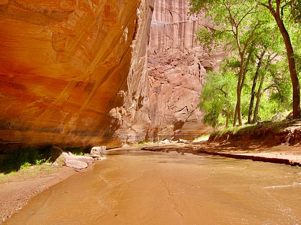 istock Rounding the bend along the Chinle river on a jeep guided tour 2246418596