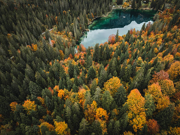 istock Colors of Nature 2246420720