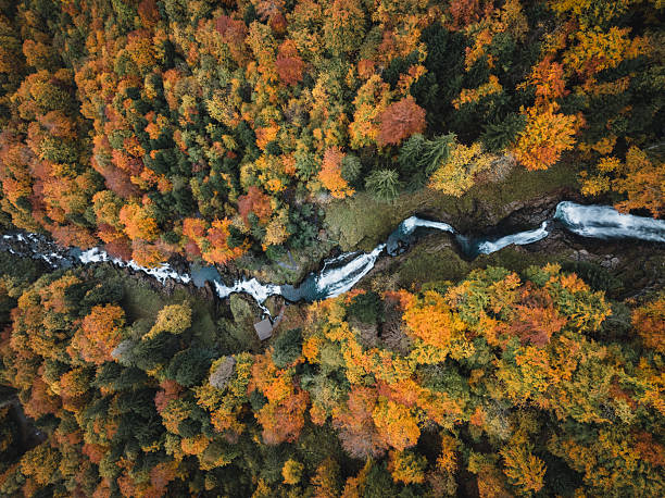 istock Rivier of colors 2246420981