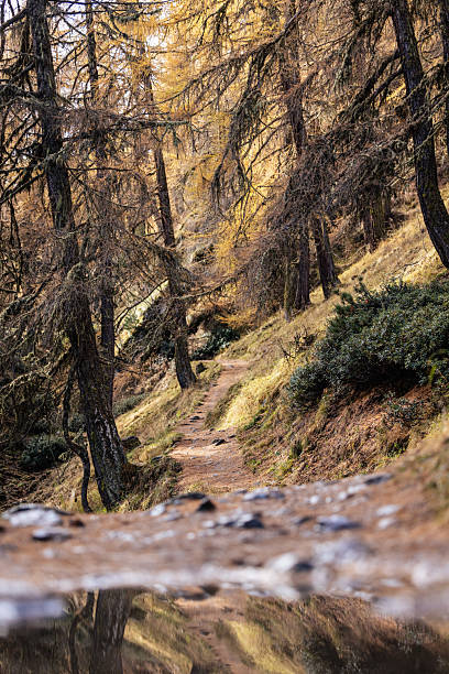 Hiking in Switzerland during autumn, orange color, larches, mountain lover, Mountain views and hiking roads