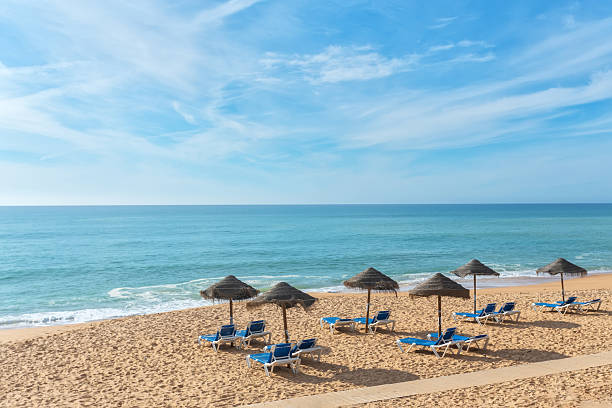 istock Sun-kissed sandy beach features lounge chairs arranged beneath thatched umbrellas, inviting relaxation by the calm ocean waves and clear blue skies 2246422375