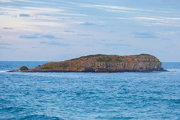 istock Cook Island near Fingal Head 2246423951