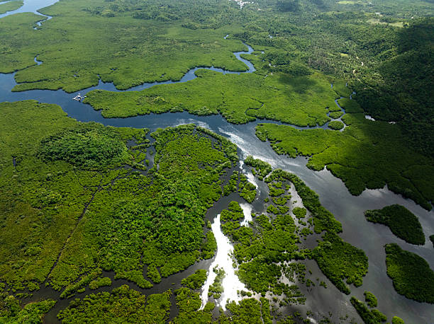 istock Mangrove forest with winding river channels. Siargao, Philippines. 2246431906