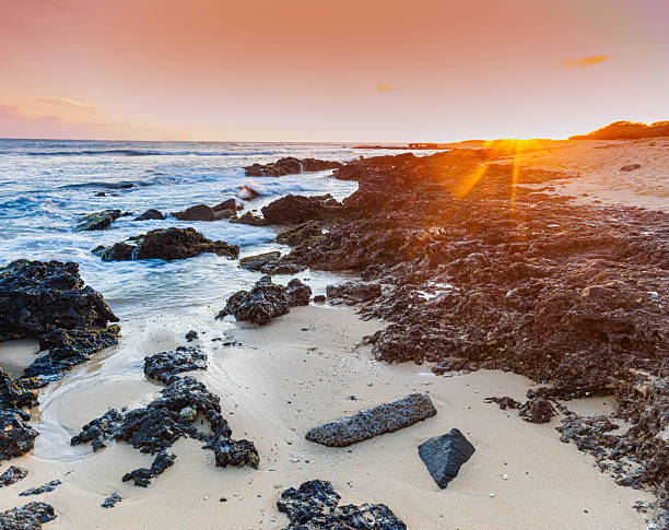 istock Waves Washing Over Lava Reef at Sunset on Sand Island Beach 2246432170