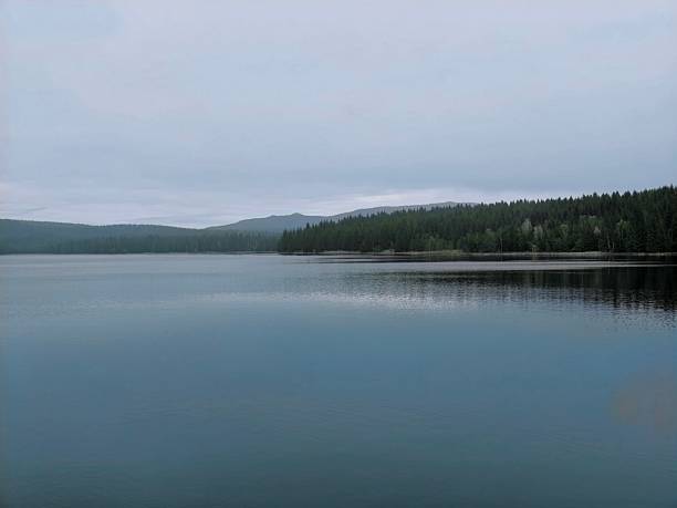 istock peaceful pond bordered by evergreen forest, tranquil mirror lake with rolling hills and cloudy sky 2246432426