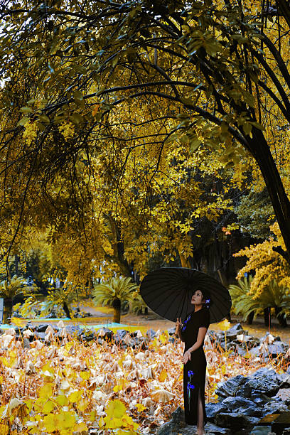 Standing under an umbrella amid a forest carpeted with yellow autumn leaves, she’s clad in the elegant cheongsam. The warm golden hues of the scenery complement the garment’s grace.