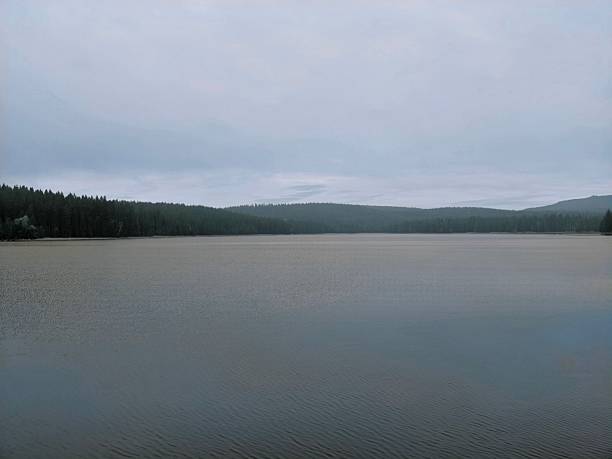 wide tranquil water with forested shore and subtle cloud cover, gentle horizon and soft ripples, expansive