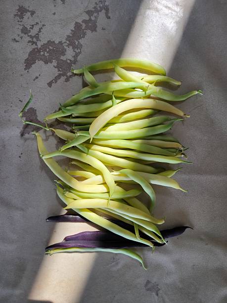 A collection of Japanese vegetables cut up for cooking and various recipes.