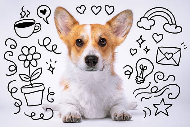 istock Adorable corgi surrounded by cute doodles and symbols 2246435114