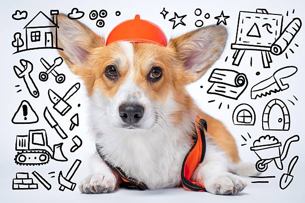istock Cute corgi in construction outfit surrounded by fun doodle icons 2246435120