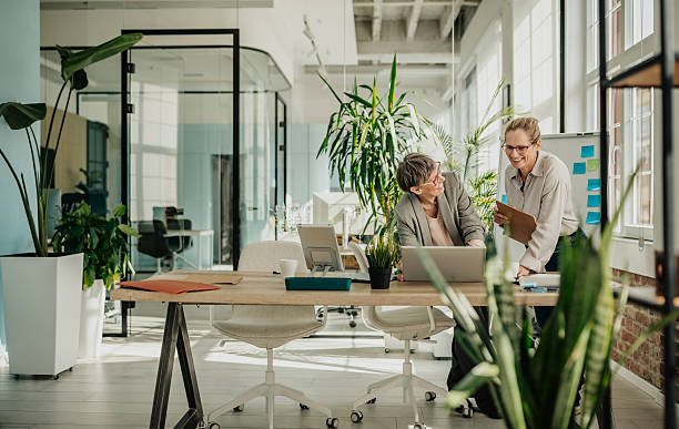 istock Businesswomen collaborating in a modern office setting during daytime 2246440029