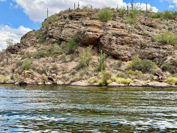 Canyon Lake, Salt River, AZ