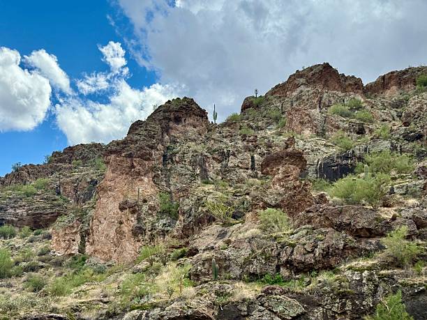 Canyon Lake, Salt River, AZ