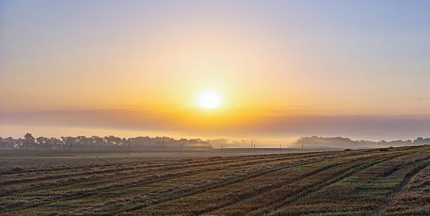 istock Sunrise Over Misty Farmland Landscape 2246440982