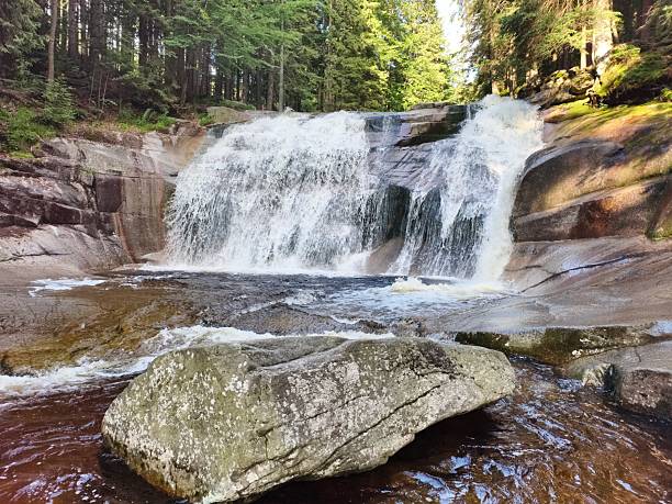 broad waterfall plunging into shallow pool with foreground boulder, mist drifting and conifer fringe. perfect