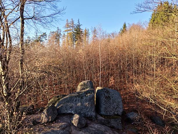 rocky ridge with open sky vista, scattered weathered stones and bare scrub across sloping ground. scene fits