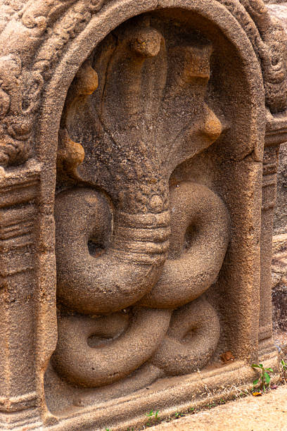 A detailed close-up shot of a weathered stone relief depicting a Naga, the mythical multi-headed cobra. This sacred guardian figure is carved into the masonry of the Kuttam Pokuna (Twin Ponds) archaeological site. The image highlights the intricate textures of the ancient granite, the coiled body of the serpent, and the protective hoods, capturing the symbolic religious artistry and historical depth of Sri Lanka's Sinhalese civilization.