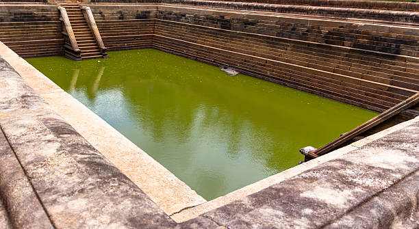 This photograph captures the intricate stone masonry of the Kuttam Pokuna, a masterpiece of ancient Sinhalese engineering. The high-angle perspective highlights the symmetrical stepped walls and the deep green, algae-covered water within the granite basin. Built during the Anuradhapura Kingdom, this site reflects the architectural sophistication and religious significance of water in Buddhist culture. The focus is sharp across the weathered stone surfaces, emphasizing their historic texture.