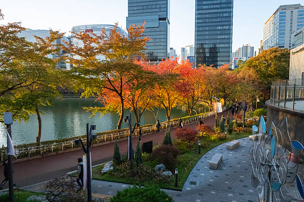 istock Seoul in autumn 2246447692