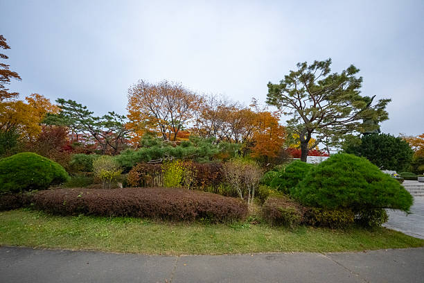 Wonderful autumn colors of the trees in a park in Seoul city