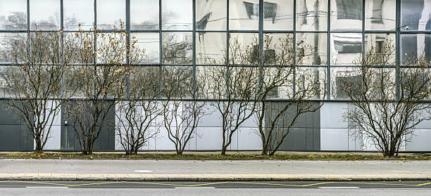 modern industrial building with mirrored glass walls reflects autumn bare trees.