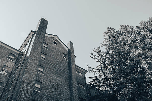 istock A tall brick building with multiple windows rises against a clear sky large evergreen trees stand nearby the architecture appears old and sturdy in this quiet urban setting 2246449228