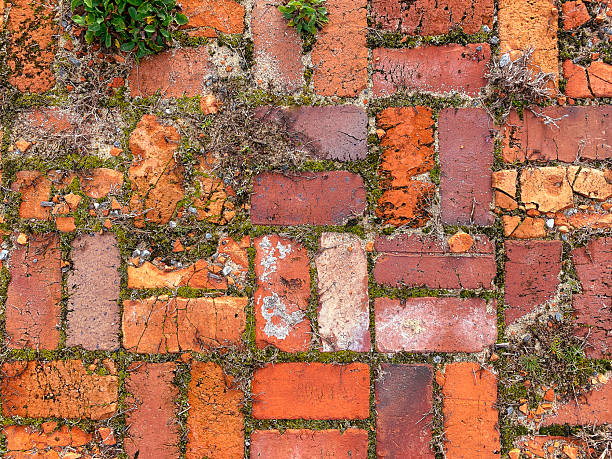 istock Aged red bricks form a weathered path with green moss growing between the cracks and patches of soil and grass adding rustic texture to this natural outdoor garden walkway background 2246453127