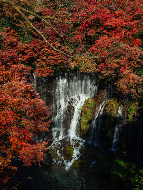 istock Scenic waterfall surrounded with autumn forest in Japan 2246455154