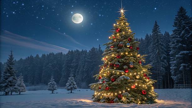 istock New Year tree against the background of the forest 2246456189