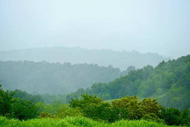 Fog enshrouds a verdant hillside in Western Pennsylvania on a summer day.