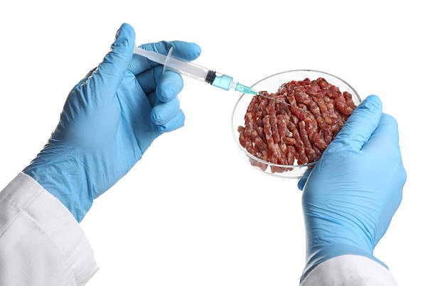 istock GMO concept. Scientist injecting something into minced meat on white background, closeup 2246463559