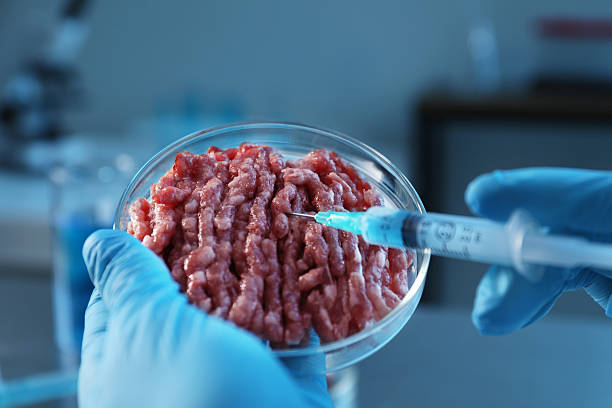 istock GMO concept. Scientist injecting something into minced meat in laboratory, closeup 2246463573
