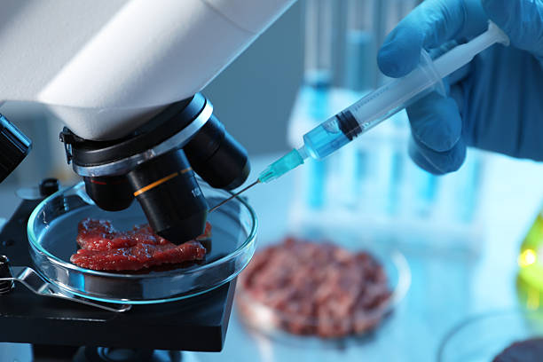 istock GMO concept. Scientist injecting something into piece of meat under microscope in laboratory, closeup 2246463591