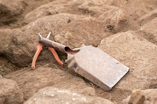 istock An archaeologist's trowel and pruning shears at an excavation site The Delicate Tools of Discovery 2246464883