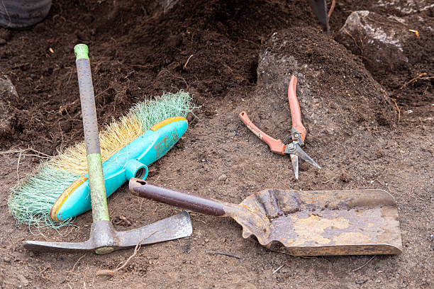 istock A collection of archaeological tools on the ground at a dig site The Essential Toolkit 2246464939