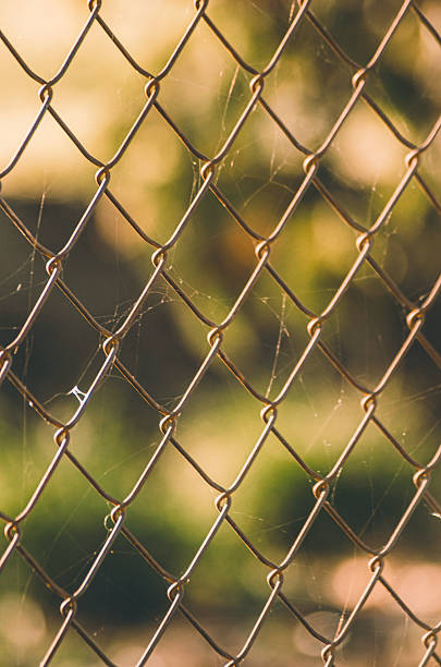 istock The concept of freedom or prison with a blurred background, Metaphor Image 2246465240