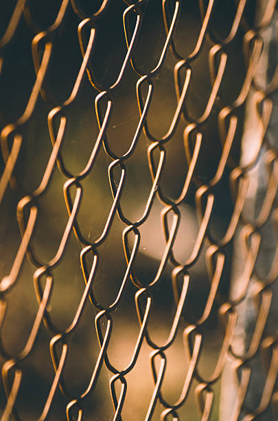 istock The texture and pattern of a metal wire mesh fence, Security Concept 2246465242